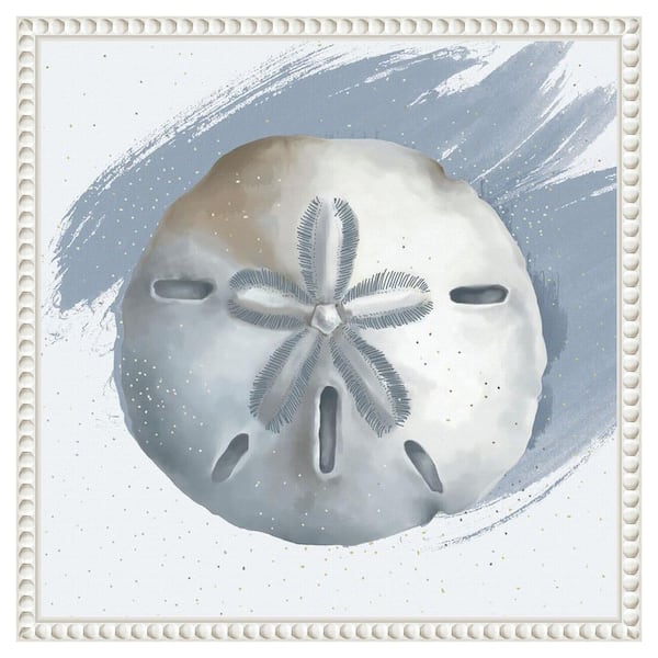 Amanti Art "Sand Dollar" by Lucca Sheppard 1-Piece Floater Frame Giclee Coastal Canvas Art Print 16 in. x 16 in.
