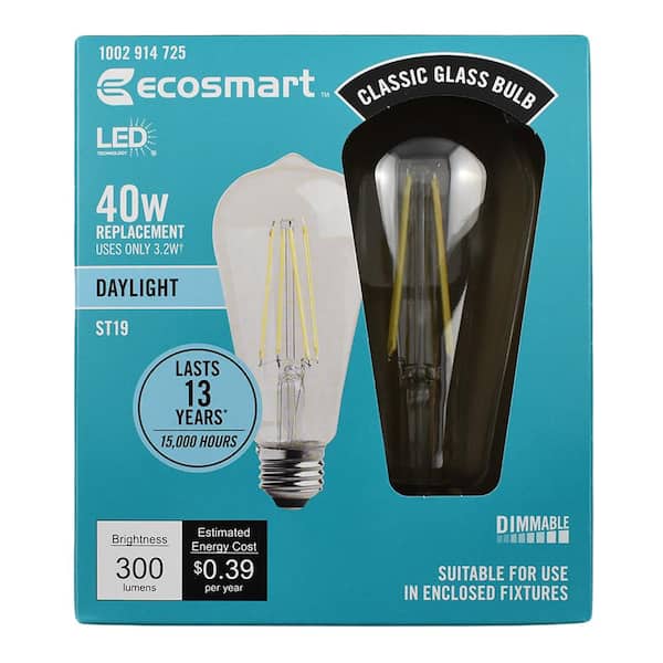 EcoSmart 75-Watt Equivalent ST19 Antique Edison Dimmable Clear Glass Filament Vintage Style LED Light Bulb Daylight (2-Pack)