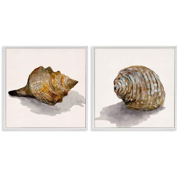 Stupell Industries Neutral Beach Shells by Jacob Q 2 Pieces White Framed Coastal Giclee Art Print 17 in. x 17 in.