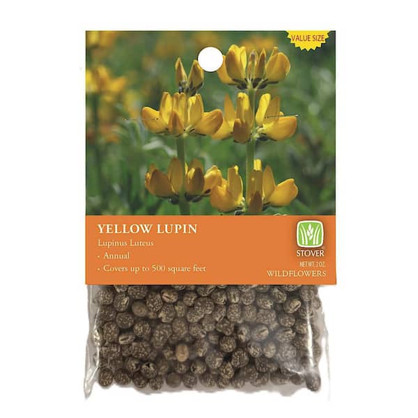 Yellow Lupine Value Pack