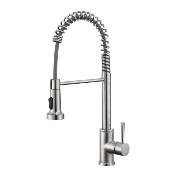Flynama 19 in Single Handle Pull Down Sprayer Kitchen Faucet with