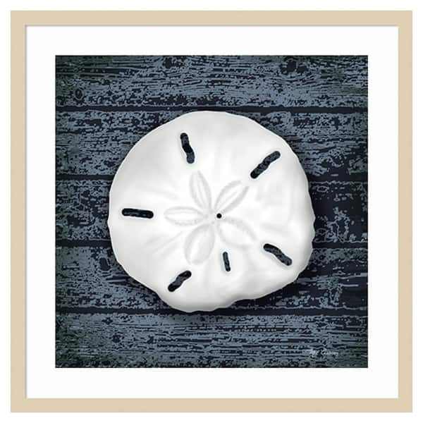 Amanti Art Seashore Shells Navy II by Marie Elaine Cusson 25 in. W x 25 in. H. Wood Framed Wall Art Print Framed in Brown