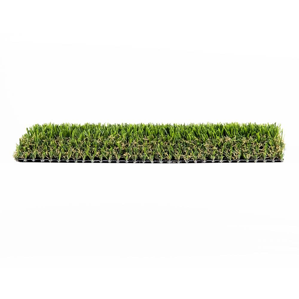 TURF DISTRIBUTORS Eco 108 (1 ft. x 1 ft. Sample Square) Eco 108 Sample ...