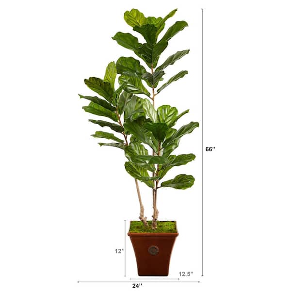 Nearly Natural 5.5 ft. Indoor/Outdoor Fiddle Leaf Artificial Tree in Brown Planter UV Resistant