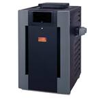 PR266AEPC57 266,000 BTU Liquid Propane Electronic Ignition Heater
