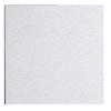 USG Ceilings 2 ft. x 2 ft. Frost White Shadowline Bevel Lay-In Ceiling ...