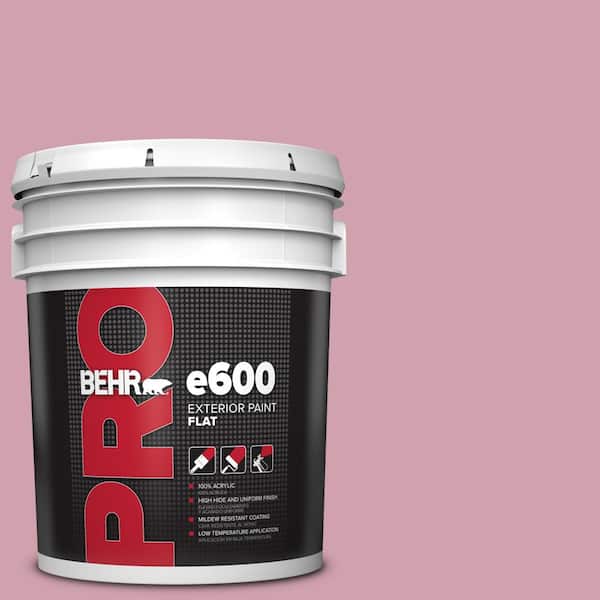 BEHR PRO 5 gal. #100C-3 Birthday Candle Flat Exterior Paint
