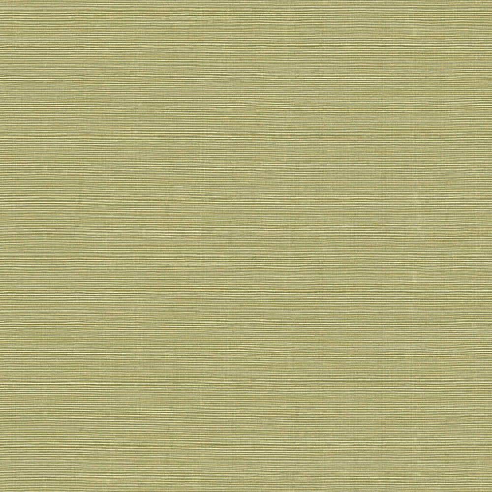 Coastal Hemp Oceanic Lime Moss Vinyl Strippable Roll (Covers 60.75 sq. ft.) price history on PriceWatchPro