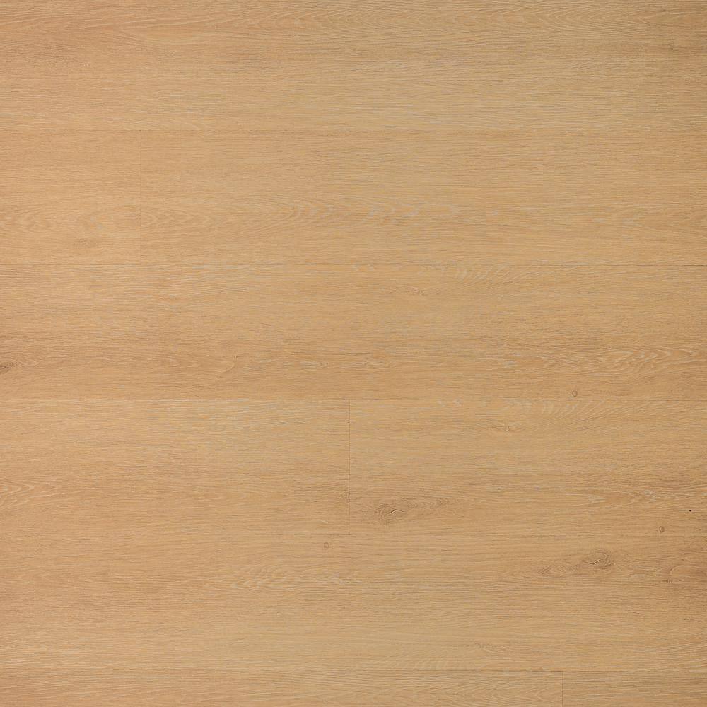 Take Home Sample - Manor Shore 22 MIL x 9 in. W x 9 in. L Waterproof Click 