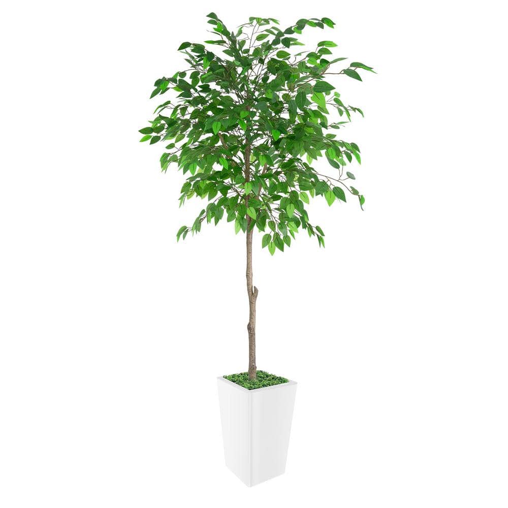7ft Artificial Ficus Tree with White Plastic Pot