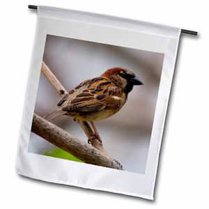 Birds 1 ft. x 1-1/2 ft. House Sparrow Flag