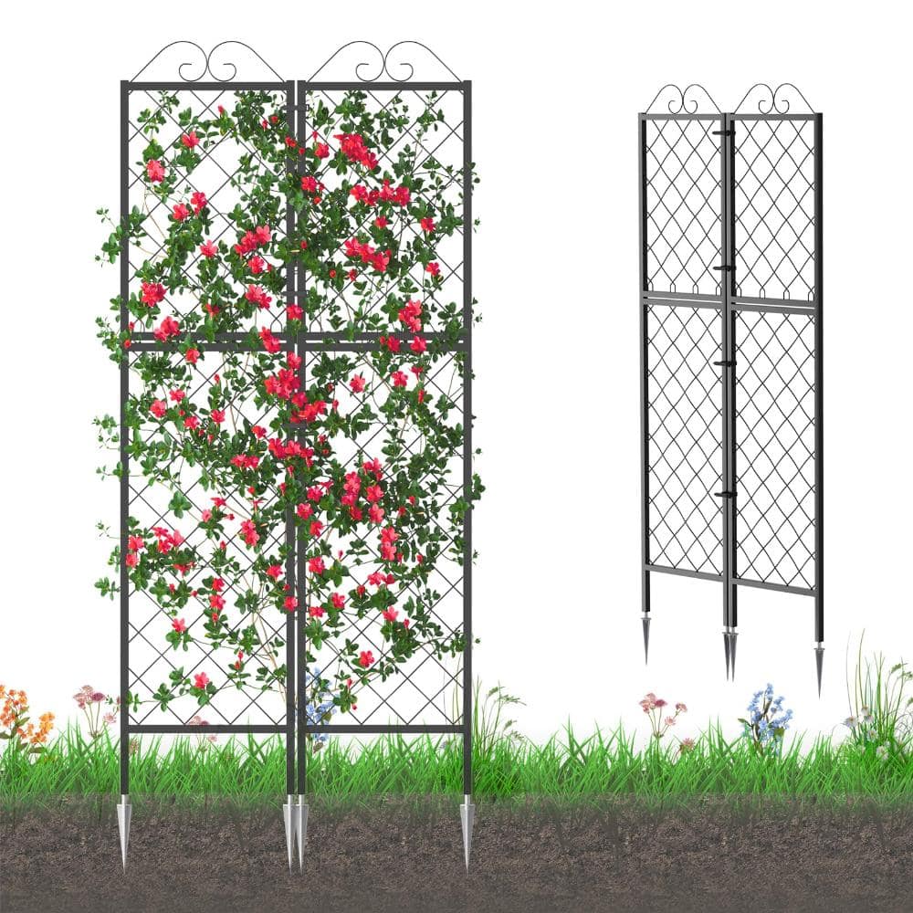 77.2 in. Metal Garden Trellis Plant Support Black 2 Piece price history on PriceWatchPro