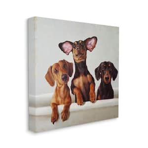 "Dachshunds in the Tub Pet Dog Bathroom Painting" by Lucia Heffernan Unframed Animal Canvas Wall Art Print 17 in x 17 in