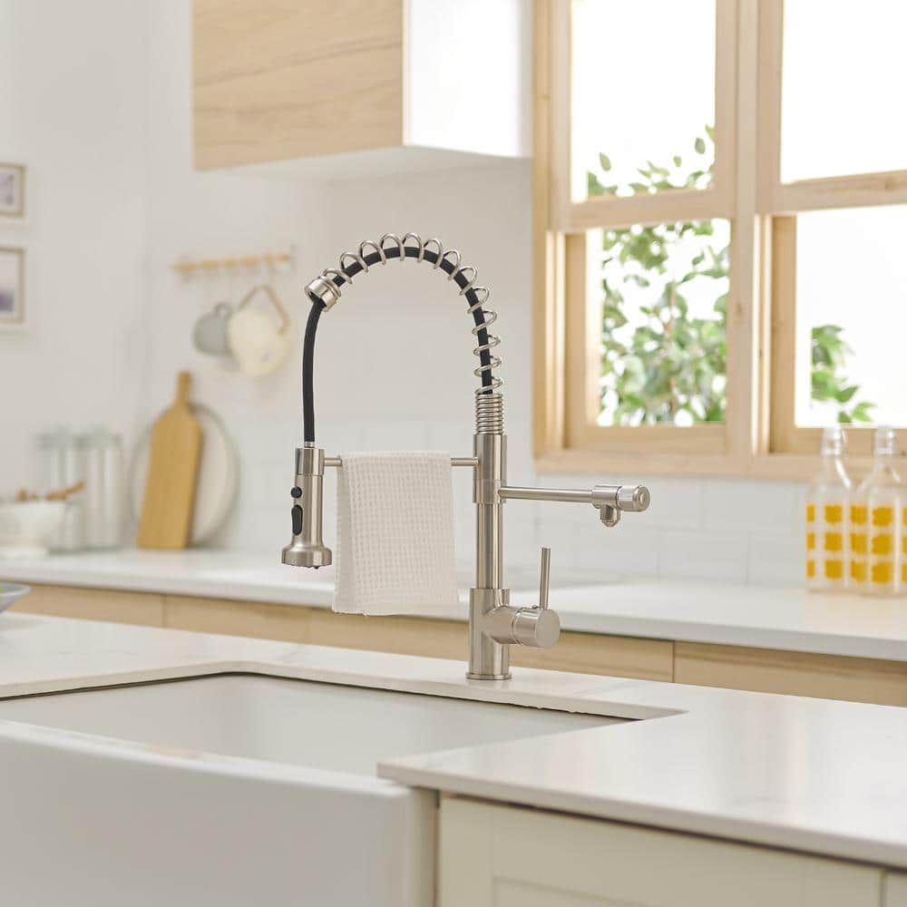 Brushed Nickel Pull Down Kitchen Faucet with Water Filter