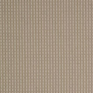 6 in. x 6 in. Pattern Carpet Sample - Longmont - Color Clay