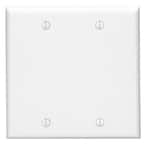White 2-Gang Blank Plate Wall Plate (1-Pack)