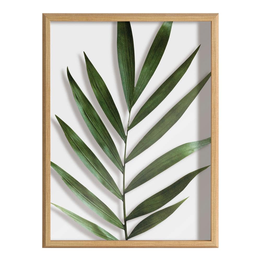 Blake Botanical Natural Framed Glass Wall Art, 18x24