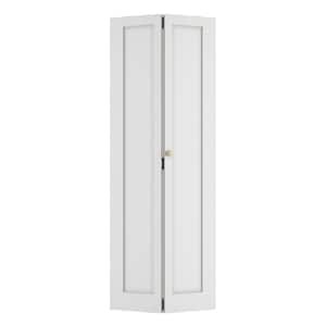SOCBAZZAR 56 in. x 78.4 in. (Double 28 in.) 1-Panel Hollow Core White ...