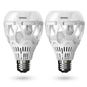 200-Watt Equivalent A21 3000 Lumens Non-Dimmable E26 LED Light Bulb 5000K Daylight 22-Watt (2-Pack)