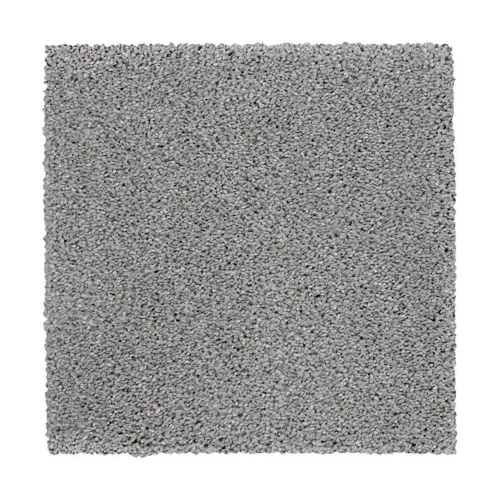 8 in. x 8 in. Texture Carpet Sample - Gazelle II -Color Stone price history on PriceWatchPro