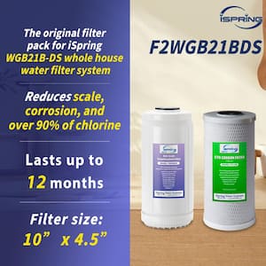 Whole House 4.5 in. x 10 in. CTO Carbon Block and Anti-Scale Polyfilter Water Filter Pack for WGB21B-DS
