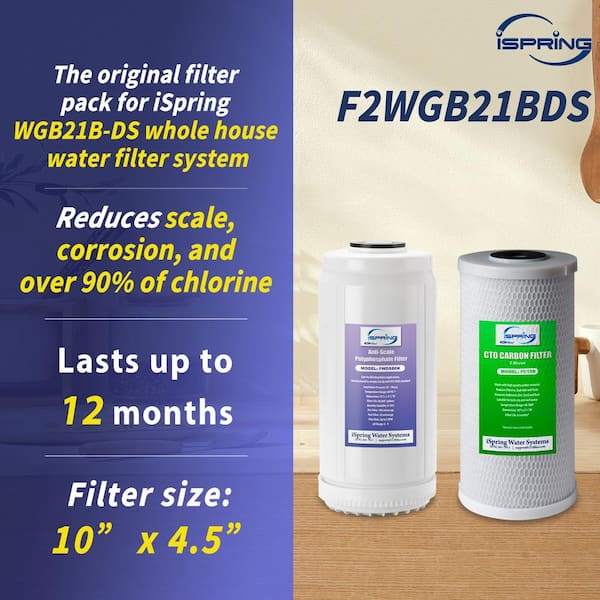 Whole House 4.5 in. x 10 in. CTO Carbon Block and Anti-Scale Polyfilter Water Filter Pack for WGB21B-DS