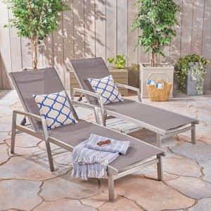 Jeremy Gray 2-Piece Metal Outdoor Patio Chaise Lounge