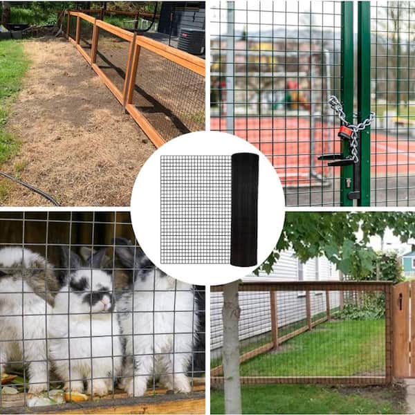 2 ft. x 50 ft. 21-Gauge Black Vinyl Coated Welded Wire Fence, Hardware Cloth for Poultry-Netting Cage