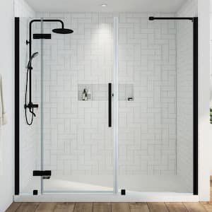 Tampa 73 3/8 in. W x 72 in. H Pivot Frameless Shower Door in Black