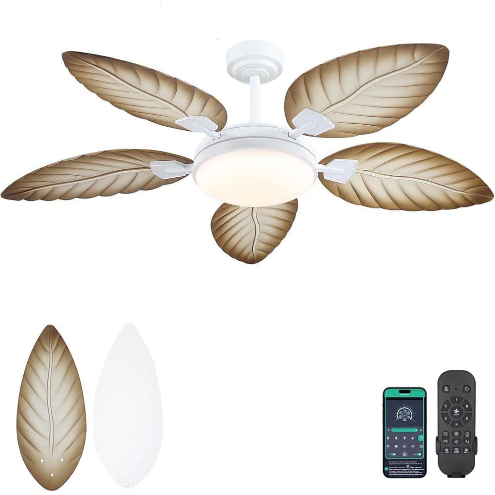 kviflon-ceiling-fans-with-