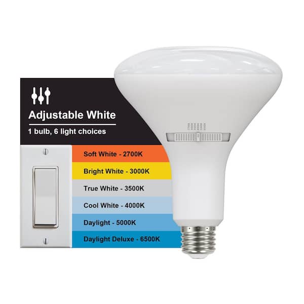150-Watt Equivalent BR40 Dimmable LED Flood Light Bulb With Selectable Color Temperature (2-Pack)