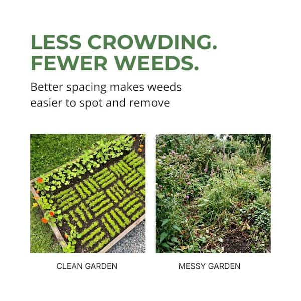 Square foot garden seed spacer, saves space and cuts weeds
