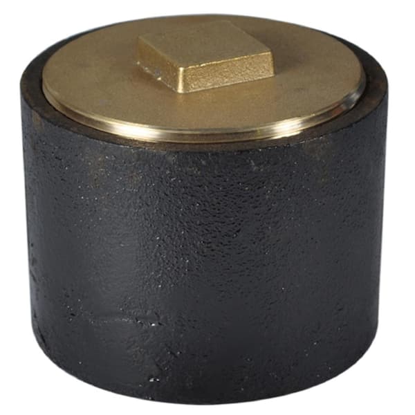 Unbranded 2 in. Cast Iron Ferrule with Brass Plug