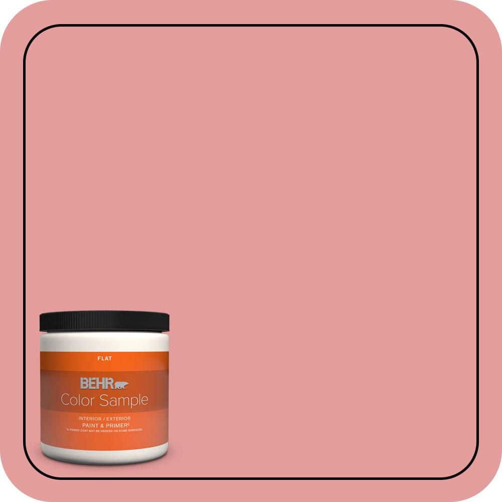 8 oz. #150D-4 Pale Berry Flat Interior/Exterior Paint & Primer Color Sample price history on PriceWatchPro