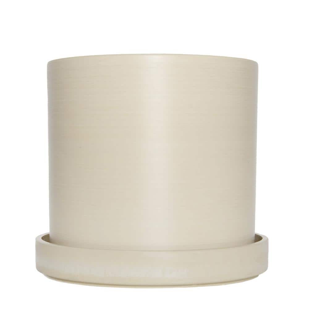 7 in. Cream Ceramic Planter with Parlor Palm Houseplant