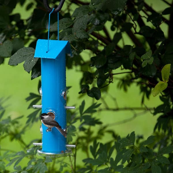 Perky-Pet Blue Sparkle Panorama Hanging Bird Feeder - 2 lb. Capacity 312B -  The Home Depot