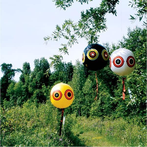Scare Away  pest birds 5 each Scare-Eye Bird Repellent Predator Eyes Balloons 