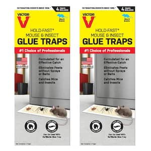 Hold-Fast Mouse and Insect Glue Traps (8-Count)