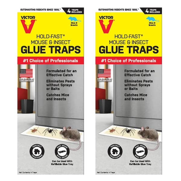 Victor Hold-Fast Disposable Mouse and Insect Glue Board Traps (10