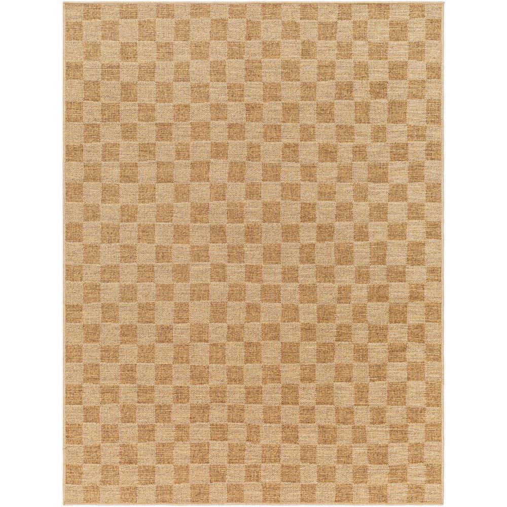 Artistic Weavers Pismo Beach Natural Wheat Checkered 2 ft. x 3 ft. Indoor/Outdoor Area Rug -  PMB2310-2211