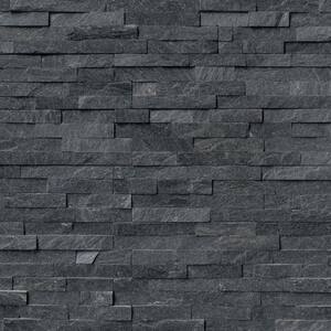 Coal Canyon Ledger Panel 6 in. x 24 in. Natural Quartzite Wall Tile (10 cases / 60 sq. ft. / pallet)
