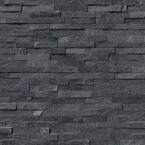 Coal Canyon Ledger Panel 6 in. x 25.52 in. Textured Quartzite Stone Look Wall Tile (6 sq. ft./Case)