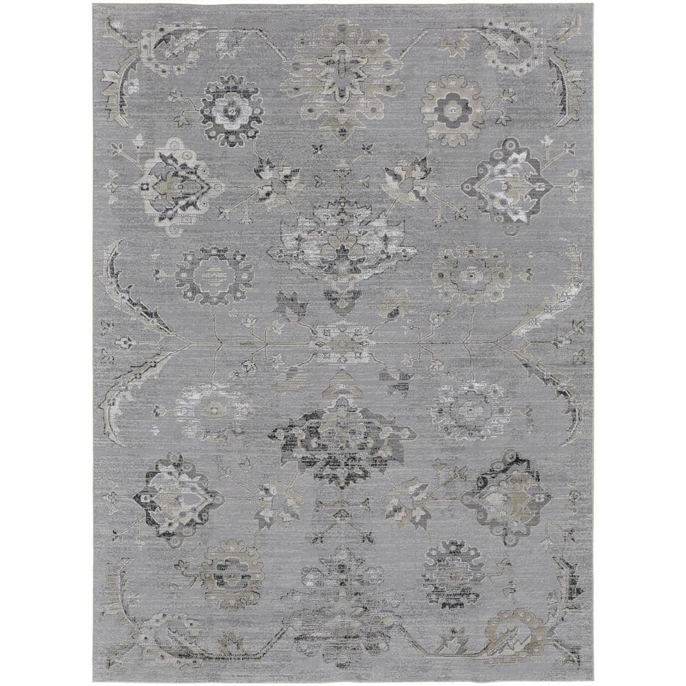 10 ft. x 13 ft. Black and Silver Floral Area Rug price history on PriceWatchPro