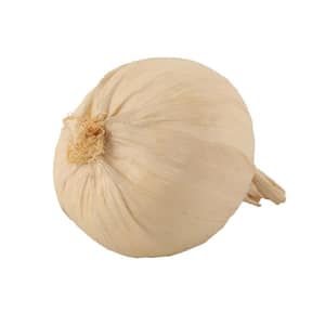 Set of 6 Artificial White Onion
