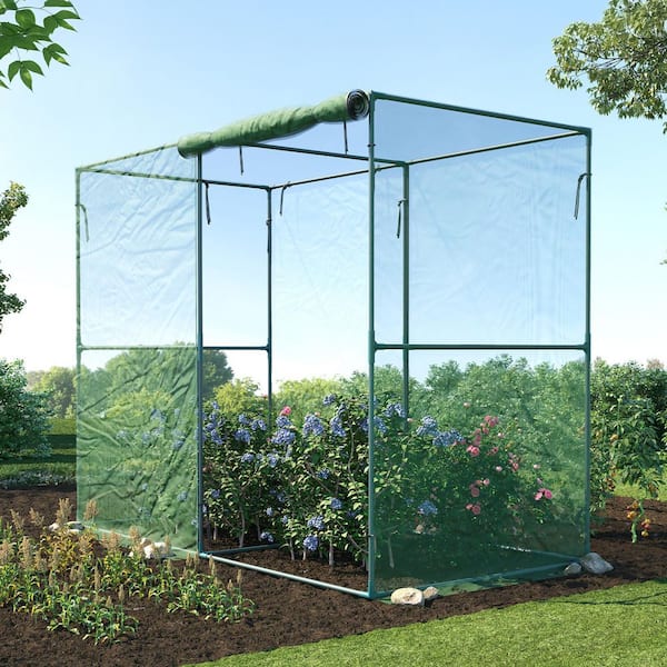 Aoodor 73 in. H Green 2-Roomed Walk-In Crop Cage Plant Protection