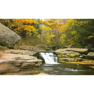 Stream View - Weather Proof Scene for Window Wells or Wall Mural - 120 in. x 60 in