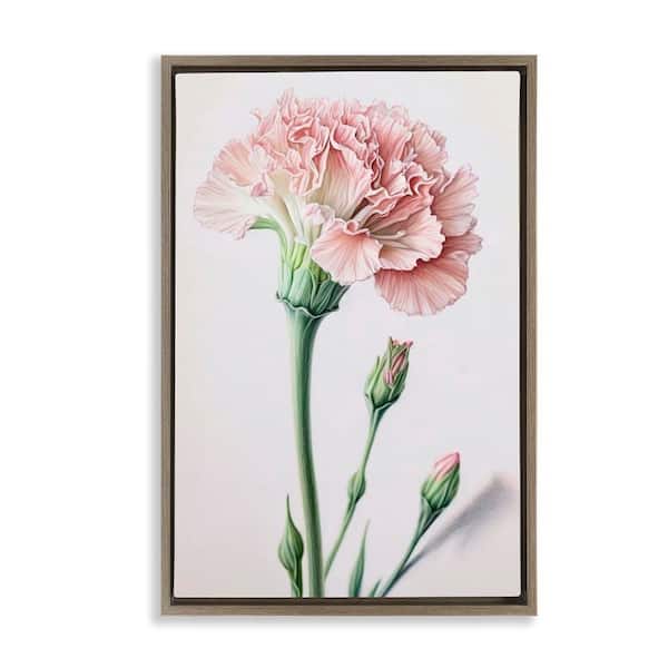 Stupell Industries Pale Carnation Budding by Incado Brown Floater Frame Nature Graphic Art Print 25 in. x 17 in.