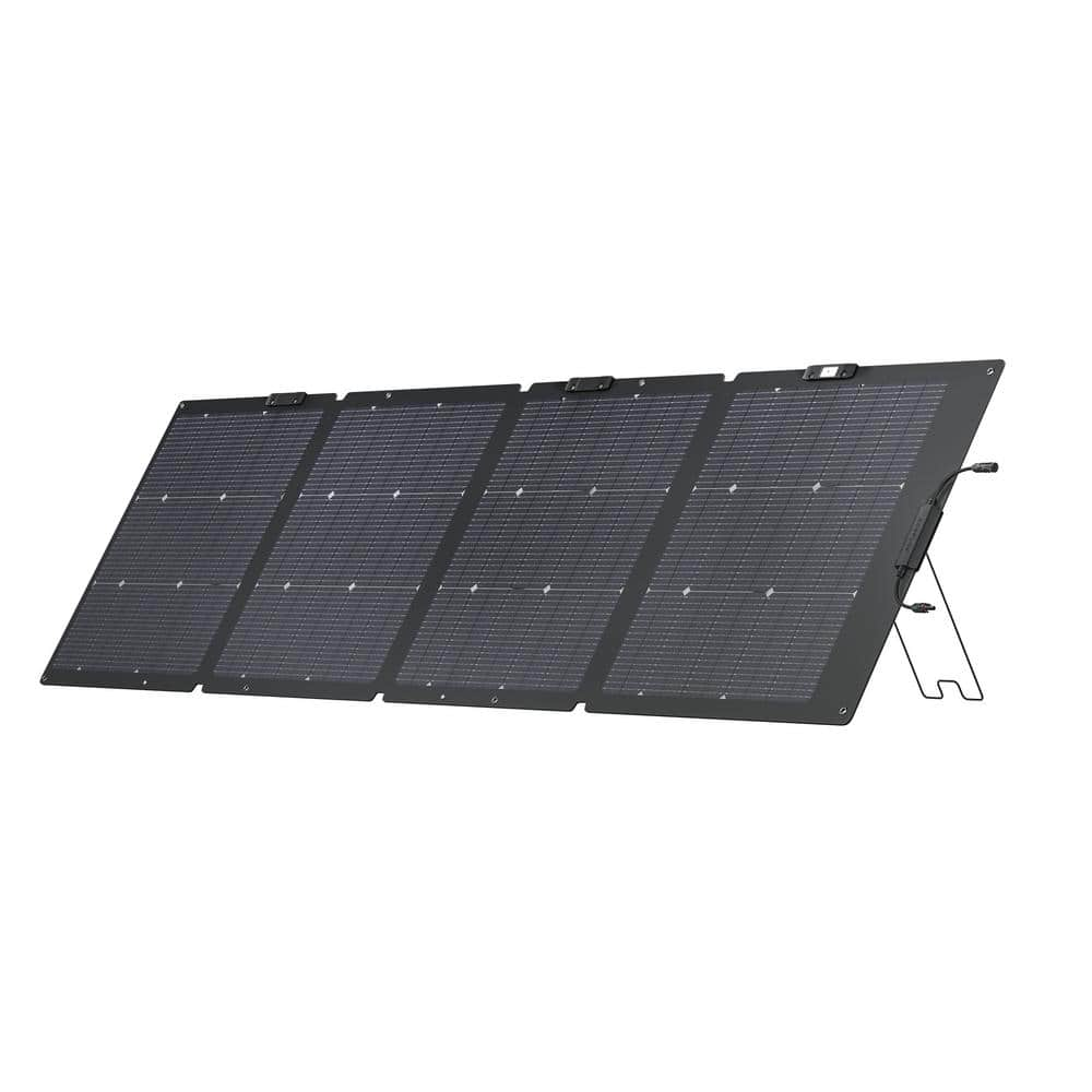 EcoFlow EFSOLAR220W-N