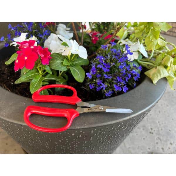 Corona 2 in. Stainless Steel Blade with Lightweight Red