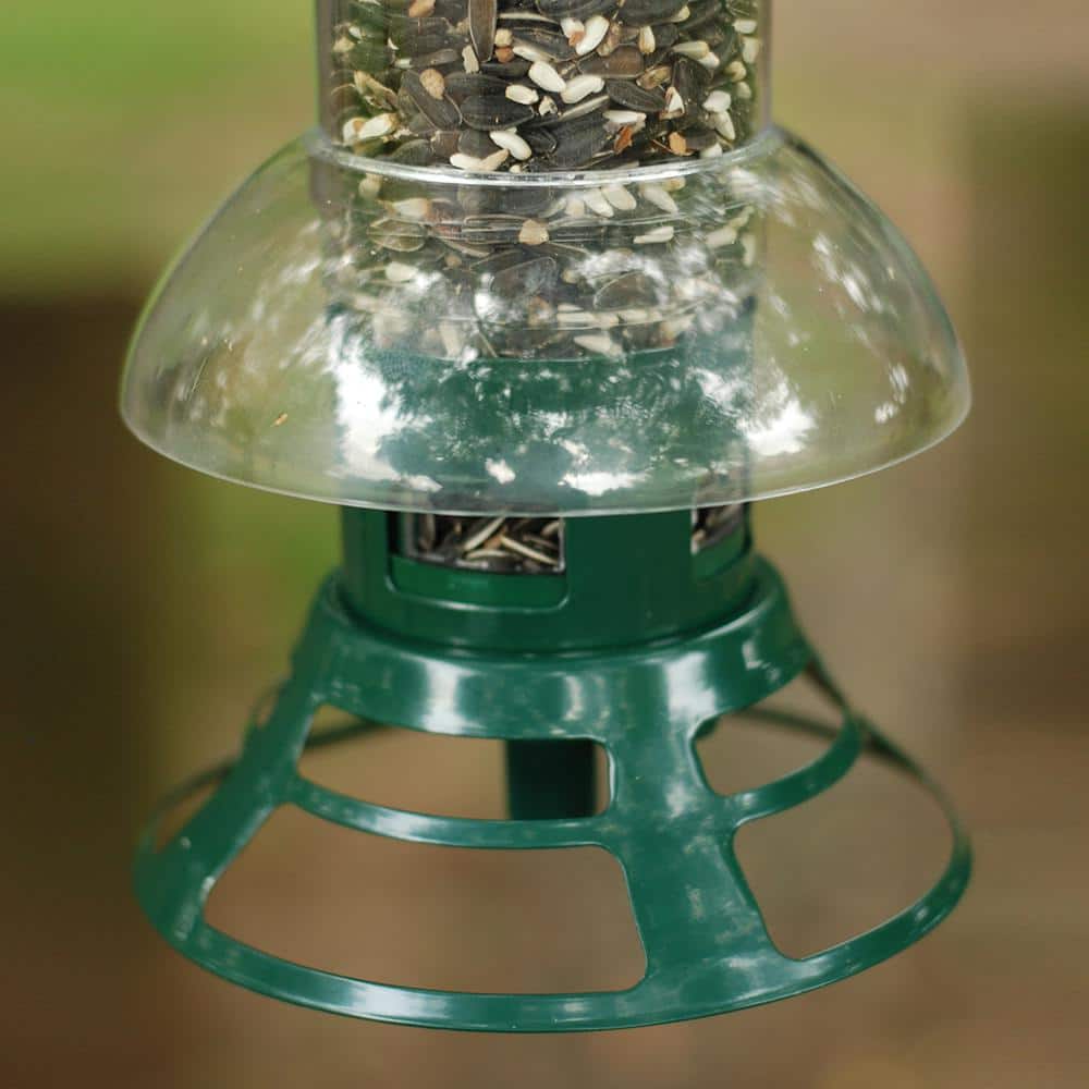 Green and Clear Squirrel Resistant Hanging Tube Bird Feeder